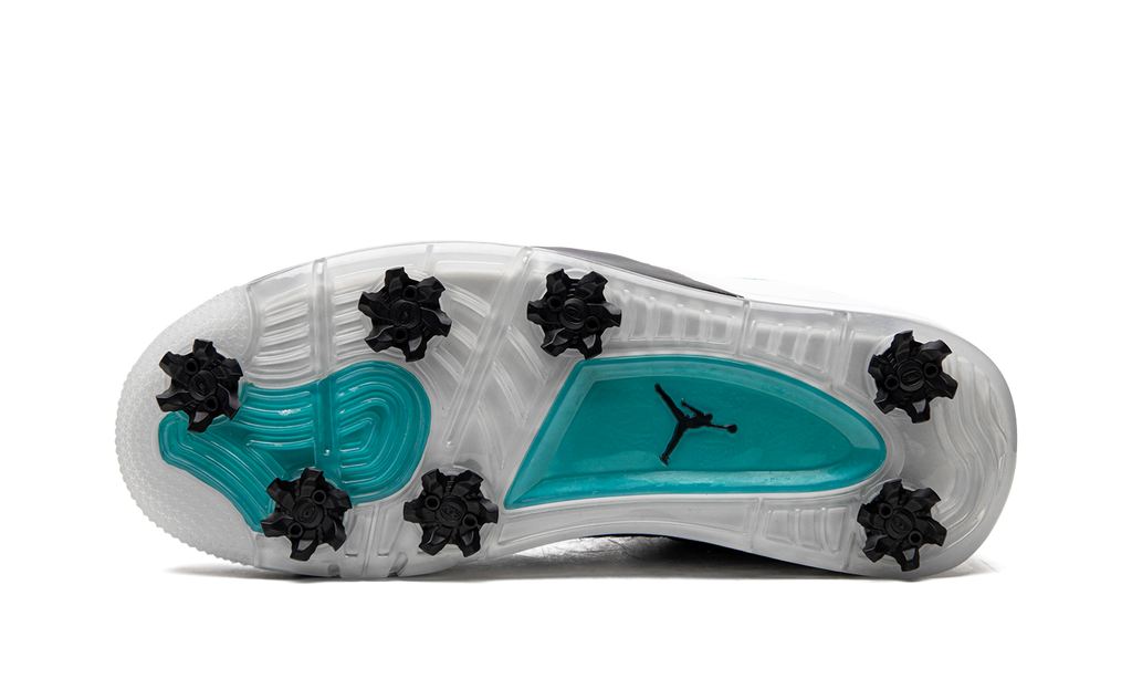 Air Jordan 4 Golf "Torrey Pines" CZ2439 300