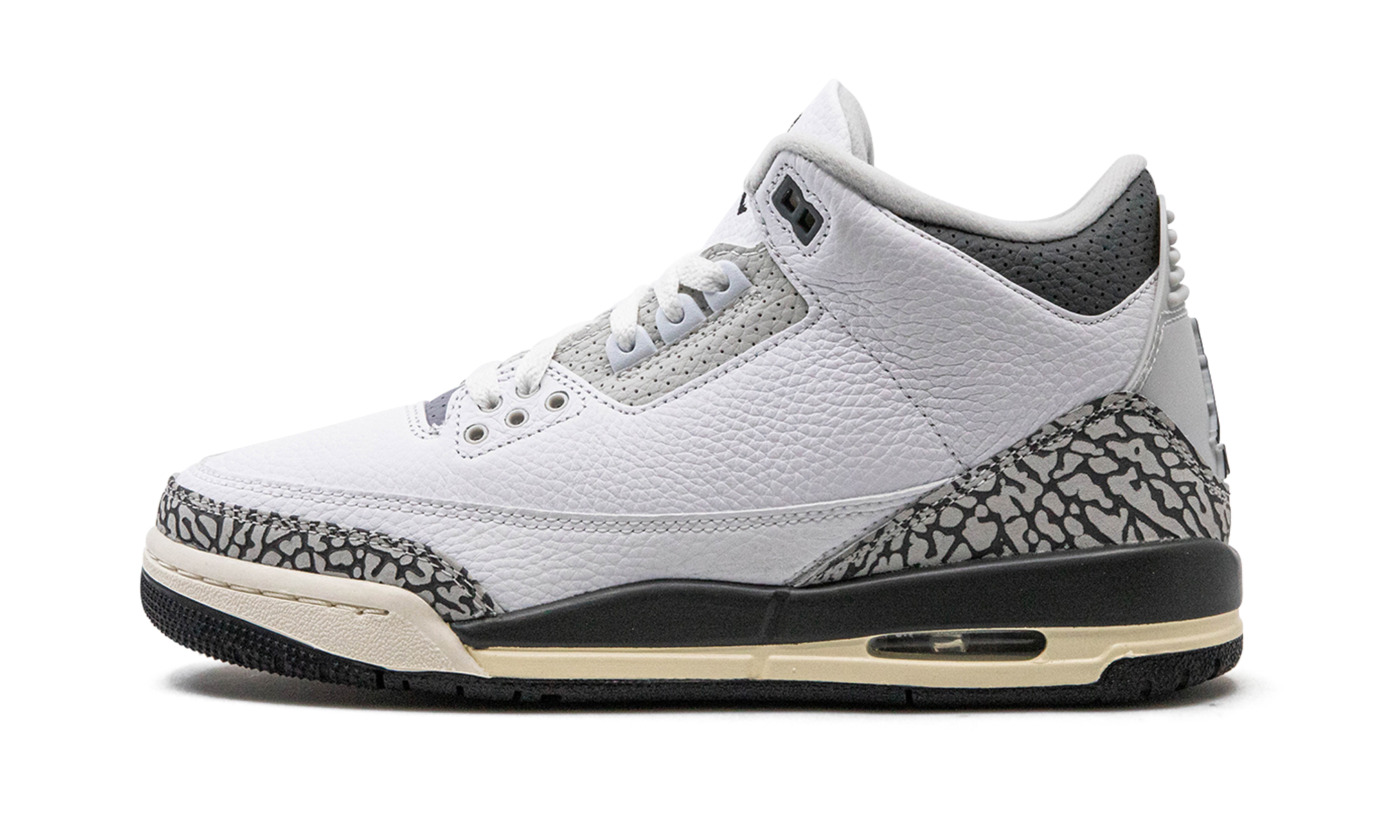 Air Jordan 3 GS "Hide N Sneak" DX6665 100