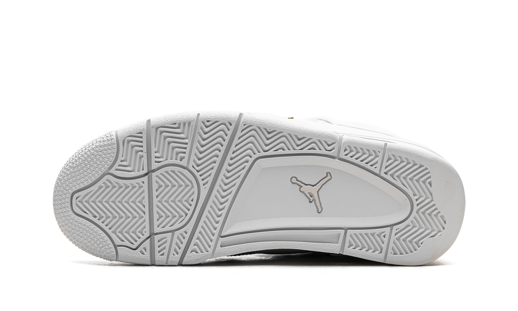 Air Jordan 4 WMNS "Net" FN7251 107