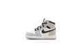 Air Jordan 1 Retro High OG TD "Cool Grey" FD1413 003