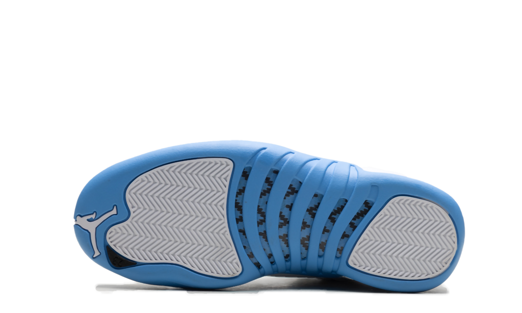 Air Jordan 12 "Melo" CT8013 112