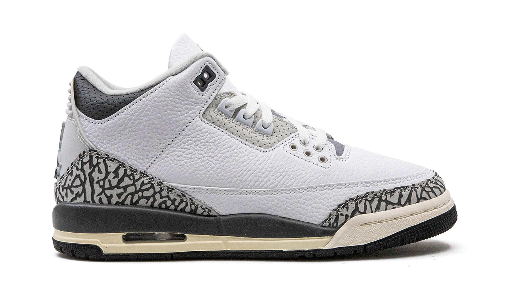 Air Jordan 3 GS "Hide N Sneak" DX6665 100