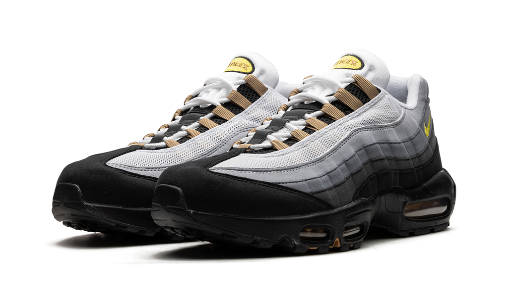 Air Max 95 "ICONS" DX4236 100