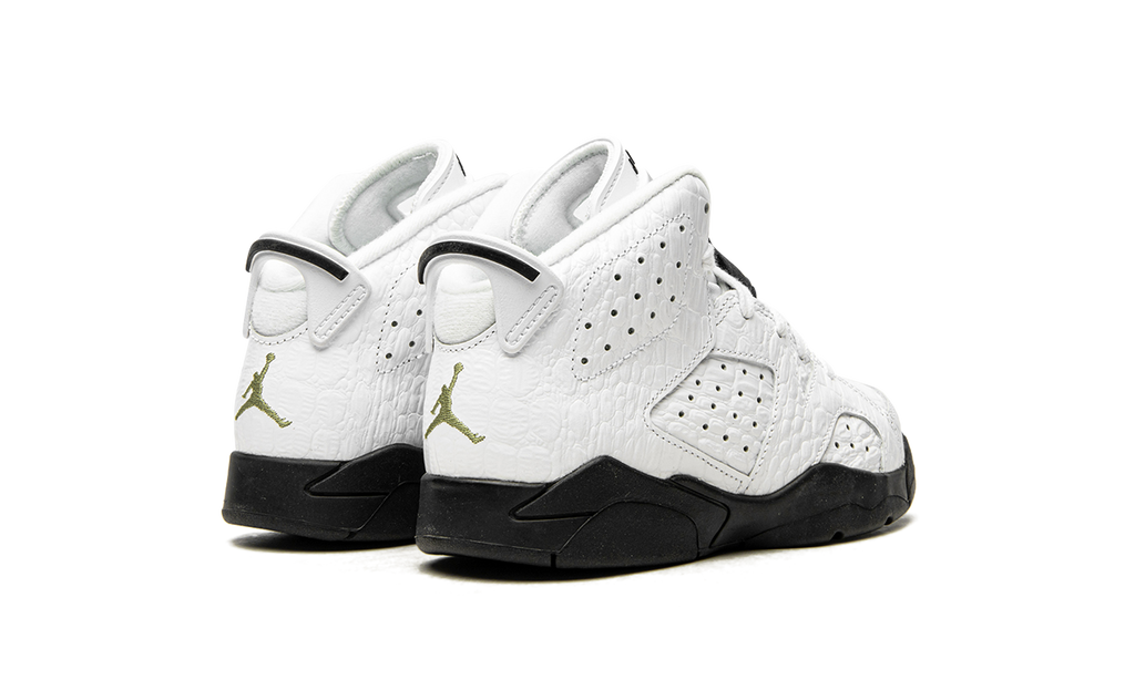 Air Jordan 6 Retro PS "Alligator" 384666 110