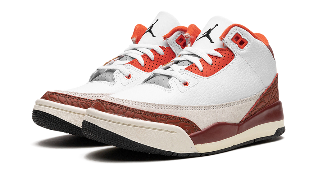 Air Jordan 3 PS "Dunk On Mars" DV7027 108