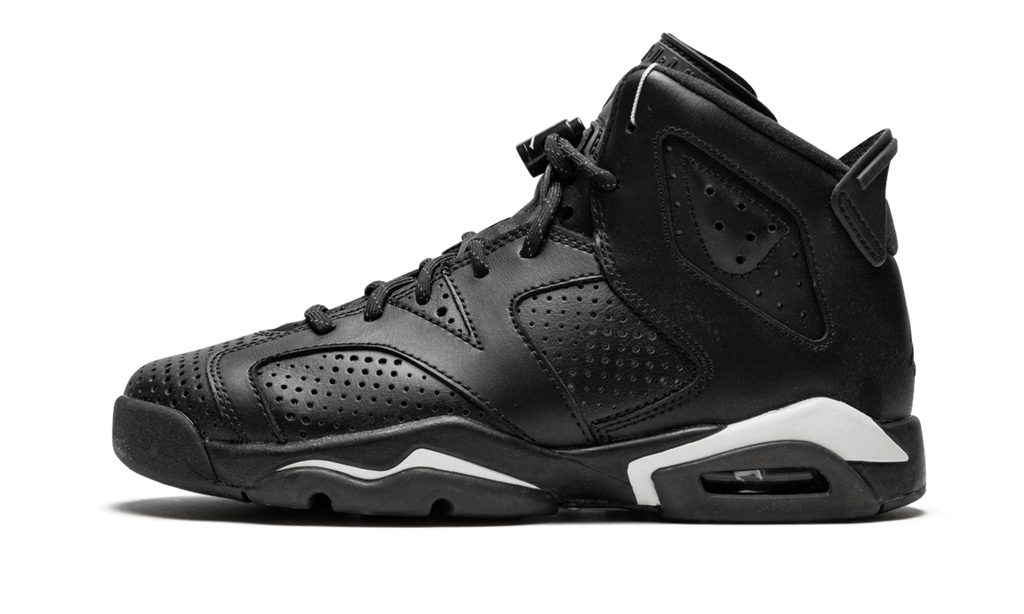 Air Jordan 6 Retro GS "Black Cat" 384665 020