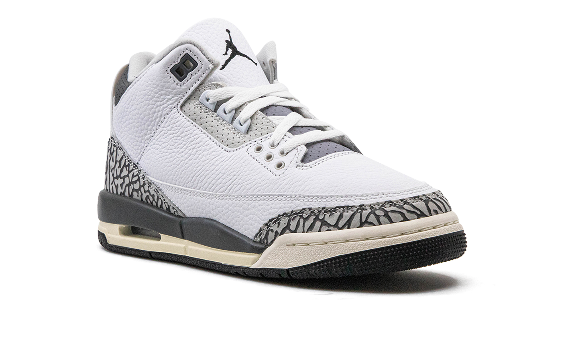 Air Jordan 3 GS "Hide N Sneak" DX6665 100