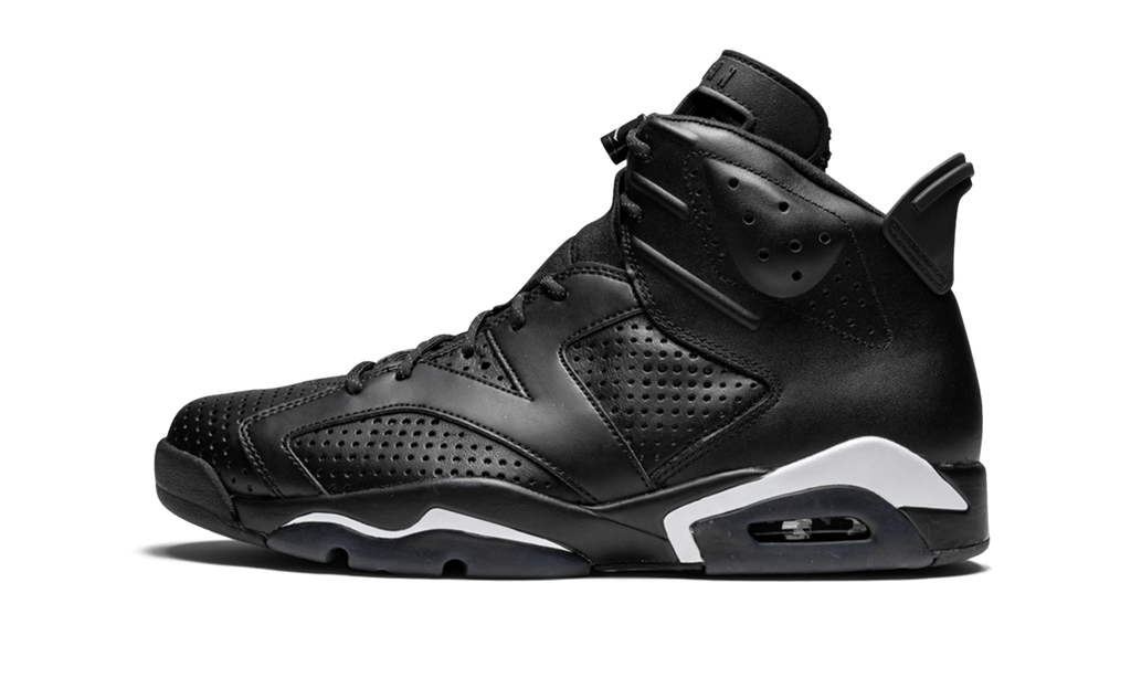 Air Jordan 6 Retro "Black Cat" 384664 020