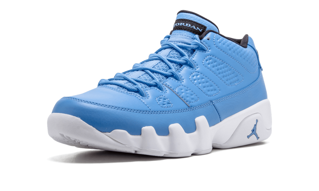 Air Jordan 9 Retro Low "Pantone" 832822 401