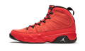 Air Jordan 9 Retro "Motorboat Jones" 302370 645