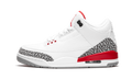 Air Jordan 3 Retro "Katrina / Hall Of Fame" 136064 116