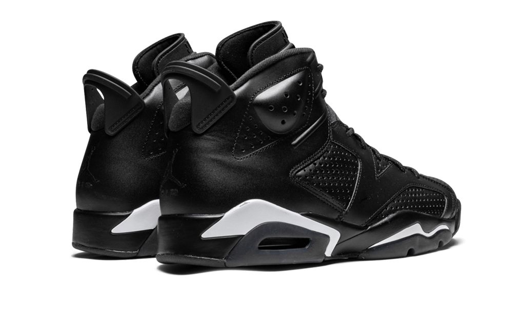 Air Jordan 6 Retro "Black Cat" 384664 020