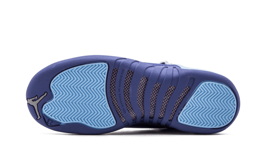Air Jordan 12 Retro GS "Purple Dust" 510815 418