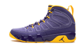 Air Jordan 9 Retro "Calvin Bailey" 302370 445