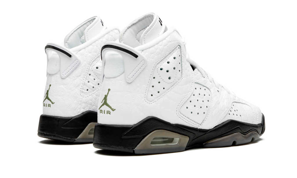 Air Jordan 6 Retro GS "Alligator" 384665 110