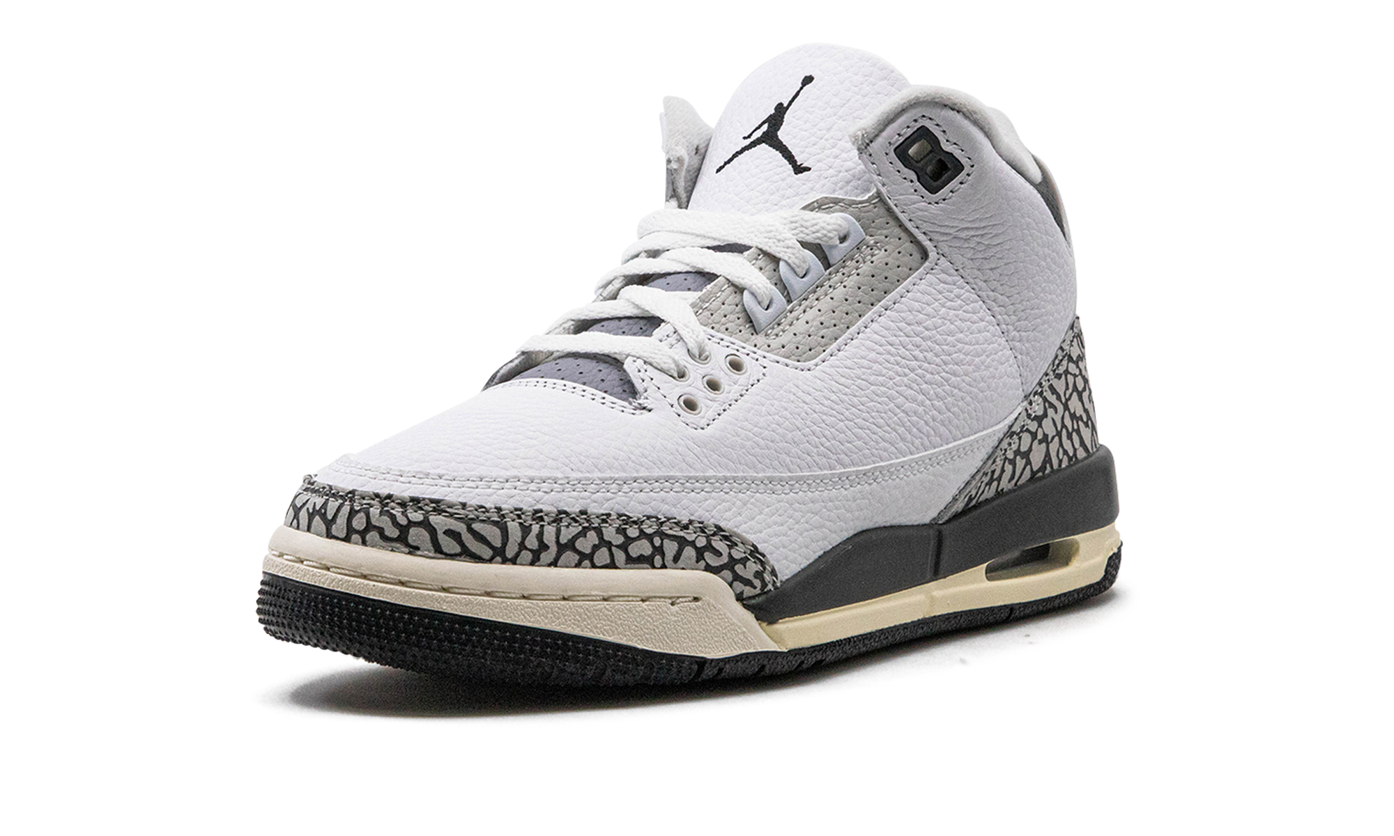 Air Jordan 3 GS "Hide N Sneak" DX6665 100