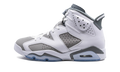 Air Jordan 6 "Cool Grey" CT8529 100