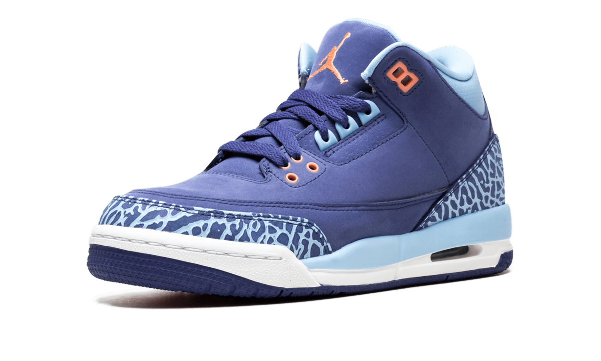 Air Jordan 3 Retro GS "Purple Dust" 441140 506