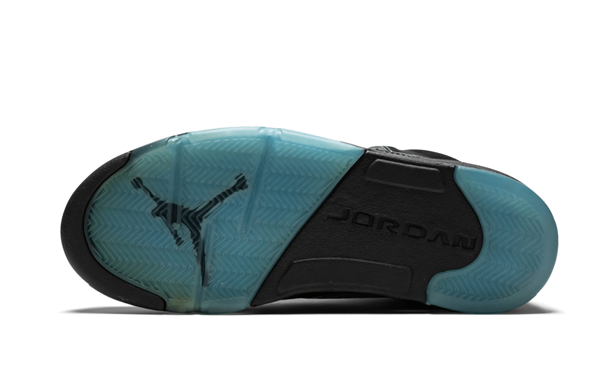 Air Jordan 5 Retro LS "UNC" 314259 041