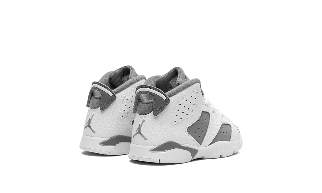 Air Jordan 6 TD "Cool Grey" DV3606 100