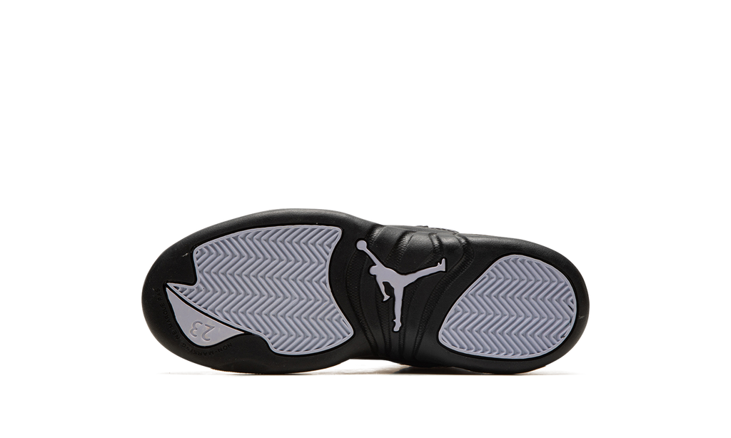 Air Jordan 12 PS "Floral PS" DR6954 100