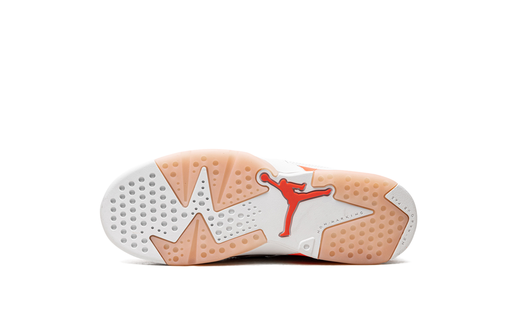 Jordan 6 Retro Low PS "Atmosphere" DV3528 102