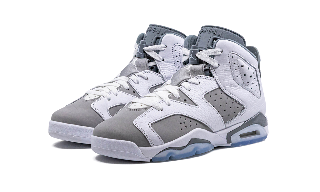 Air Jordan 6 GS "Cool Grey" 384665 100