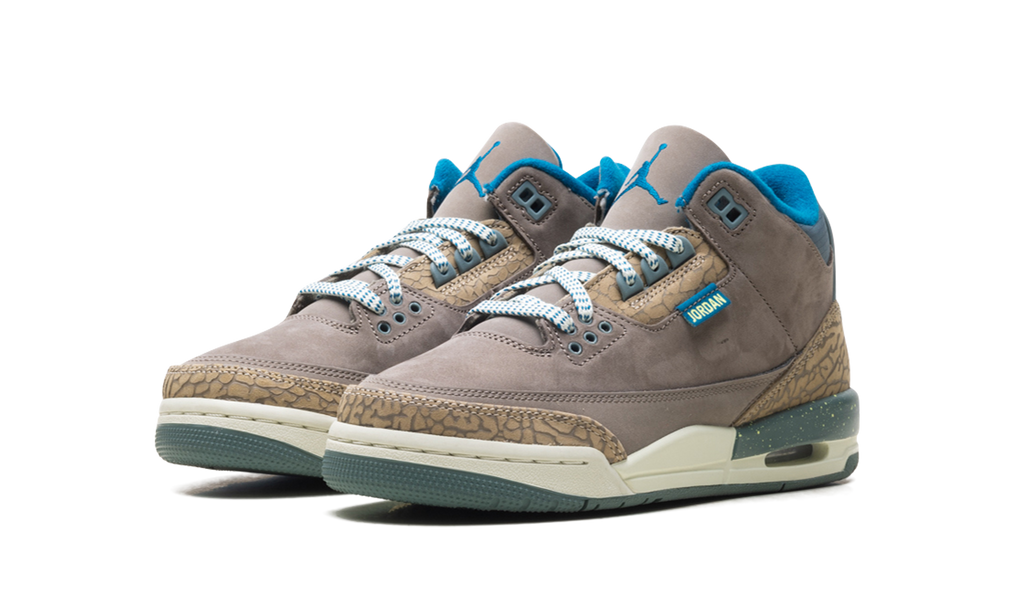 Air Jordan 3 GS "We Outside" IB7066 001