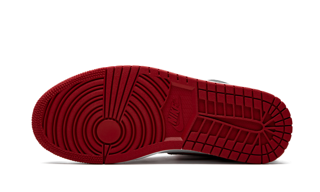 Air Jordan 1 High OG "Bloodline / Meant To Fly" 555088 062