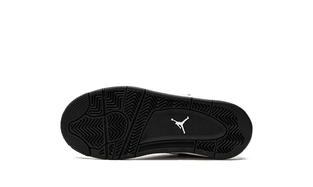 Air Jordan 4 Retro PS "DIY" DC4100 100