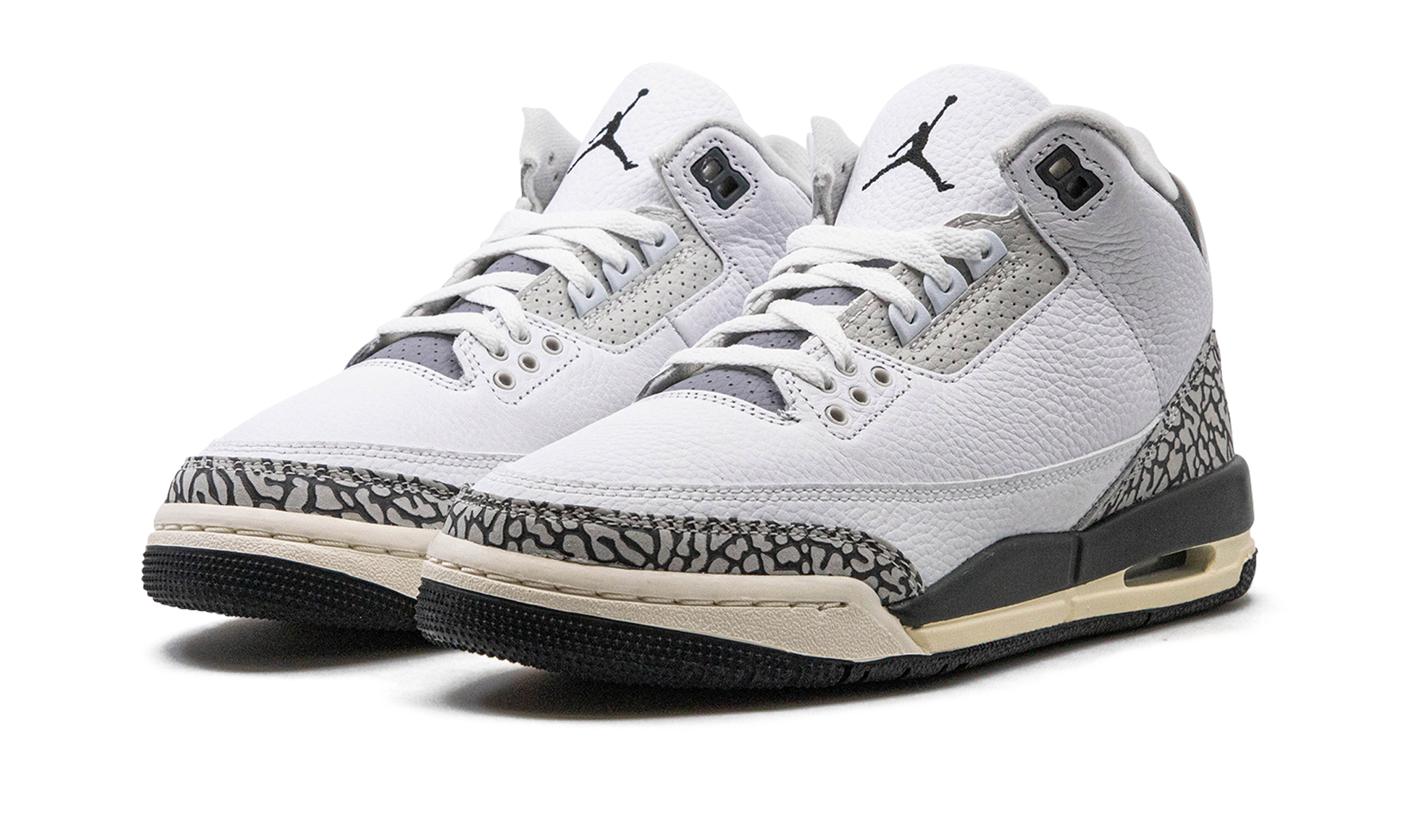 Air Jordan 3 GS "Hide N Sneak" DX6665 100