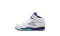 Jordan 5 Retro TD "Grape (2025)" HQ7981 100