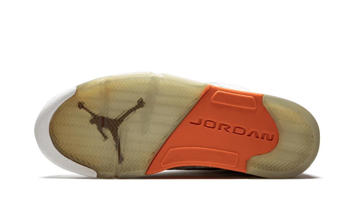 Air Jordan 5 RA "Laser" 315749 131