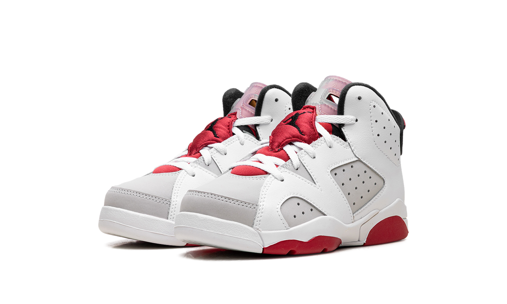Air Jordan 6 Retro PS "Hare" 384666 062